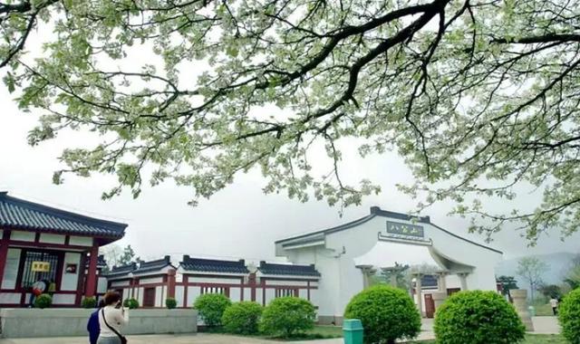 【看见淮南 l 楚风汉韵 魅力淮南】八公山：山水与文脉交织的生态长卷