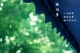 湿҈湿҈湿҈……黄梅天，如何养生？图片