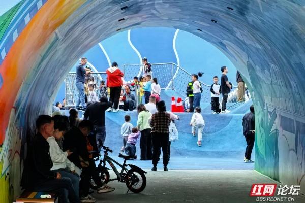 每一片叶子，都是大地写就的诗行——向野而生的大泽湖湿地公园