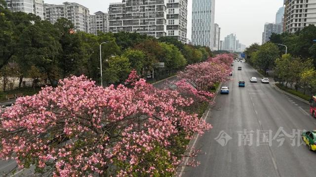柳州，彩色刷屏！大反转也要来了！