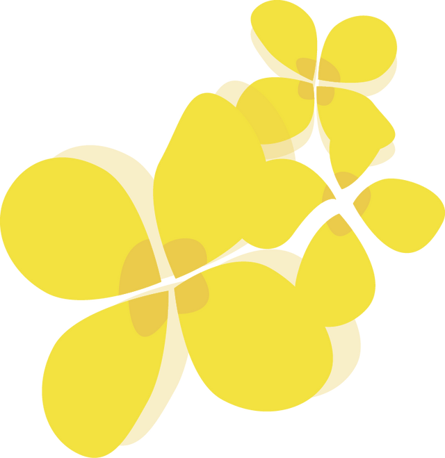 这条路超美超出圈！2月1日，一起来跑吧！