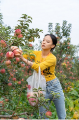 延庆果品甜蜜来袭，邀您畅享自然采摘之乐