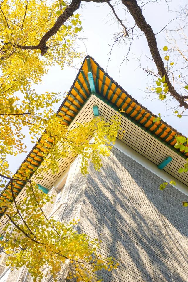 限时绝美！年度顶流！