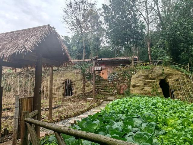 【地情文章】芦山古村落-古城村