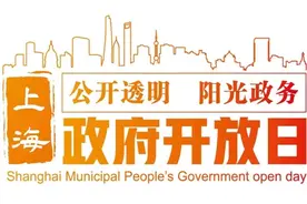 政府开放日活动招募图片