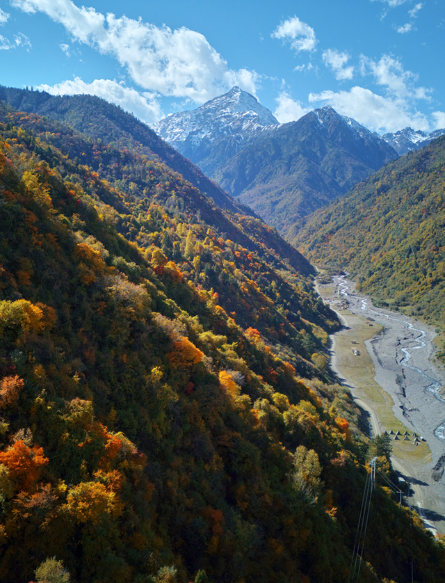 青睐绵阳 ‖ 红透了！周末去平武，沿着“百里彩林走廊”看一场雪山彩林“大片”~