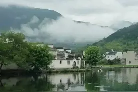 青未了丨秋树：弈者之趣图片