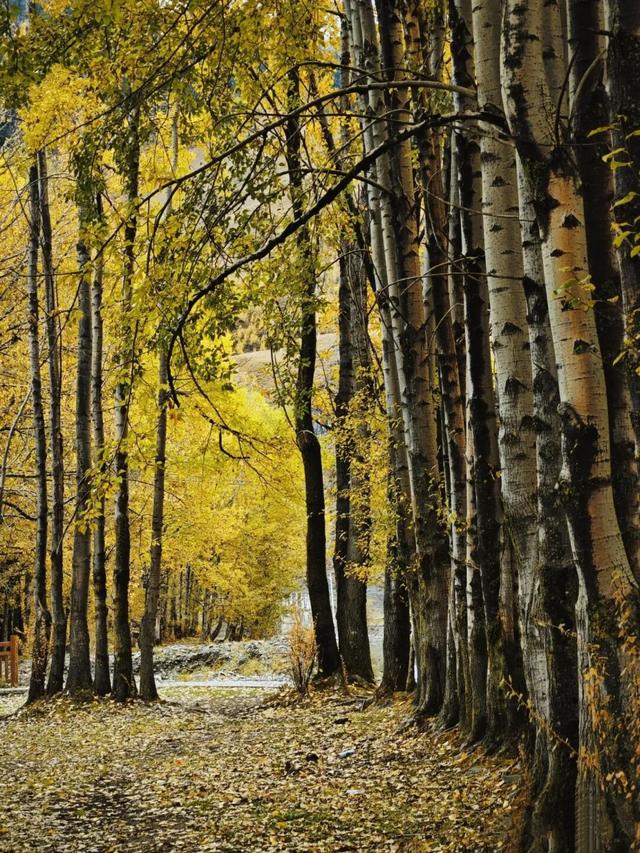 在康定看“川超”太爽了！一条龙安排的明明白白～