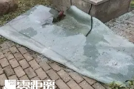 ​台风吹坏玻璃房砸中他人，伤者起诉！台风能算“不可抗力”吗？图片
