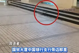 广州天河CBD有蛇出没，繁华闹市都有蛇？最新回应图片