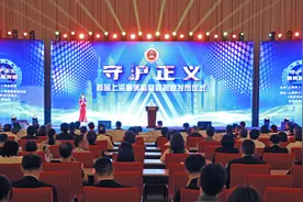美女高管集资诈骗、仿冒“高达”模型……上海最美检察官都办过哪些案子？图片