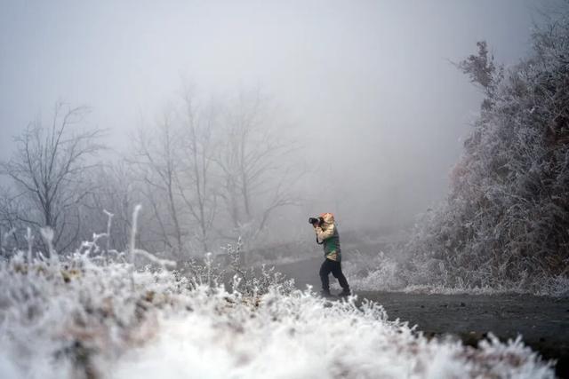 冬日限定！贵州的雾凇秘境藏不住了