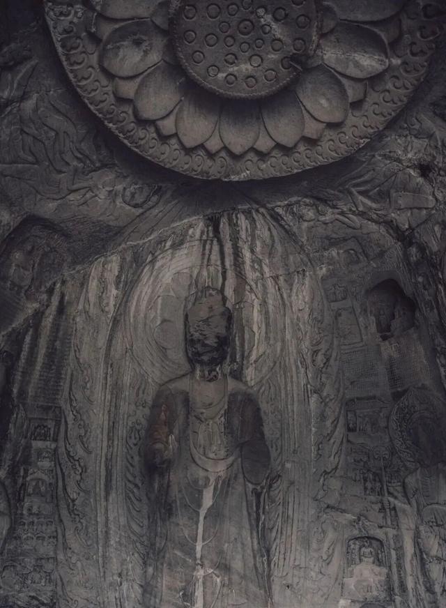 太骄傲！赵立坚又推介洛阳！