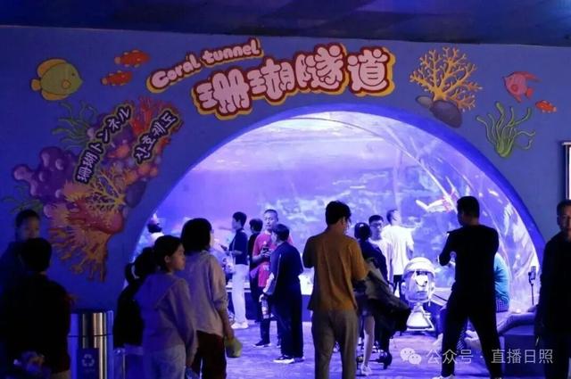 日照四大热点景区，上榜！