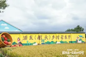 雨中“燃”情开幕！来航头参加一场特别的乡村音乐节图片