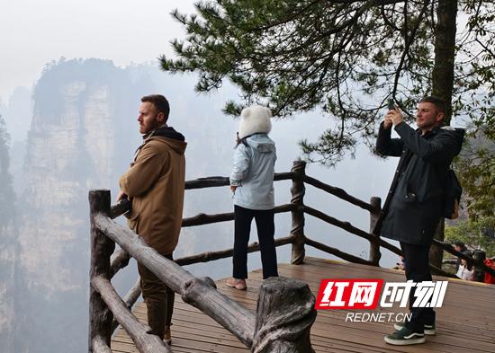 张家界国家森林公园入境游开局良好（组图）
