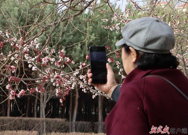 组图丨凉州植物园：春色满园关不住