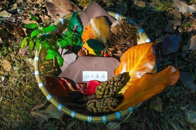 街头大量出现！常州人都已经捡上了