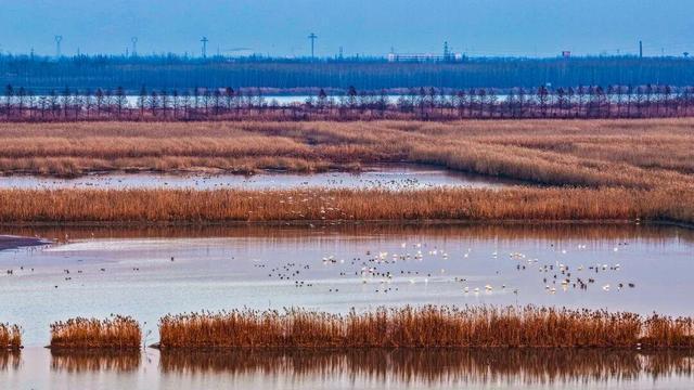 2026年第二届湿地骑行暨2025年度南县推荐官颁奖活动在天星洲举行