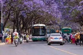 解锁春城的夏日花事浪漫 昆明夏季赏花地图→图片