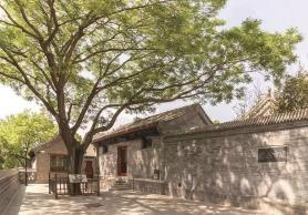 逛西城，到陶然亭公园打卡“隐藏点位”
