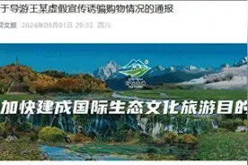 导游编撰“上海母女3年前死于景区大门口”、“每年死亡20人”？相关部门已立案！图片