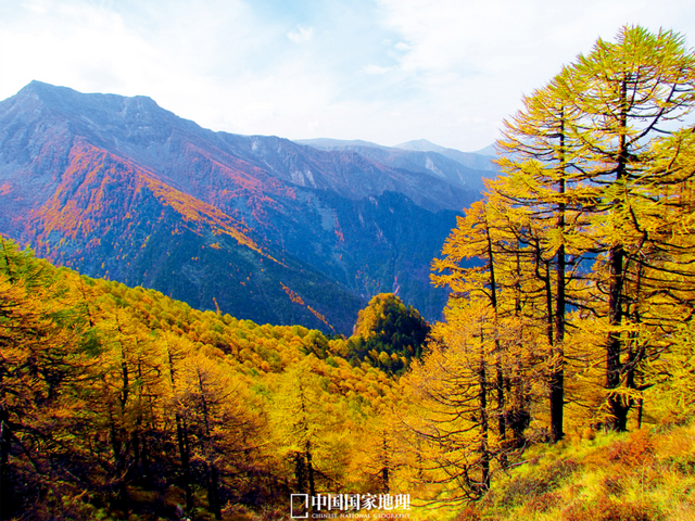 最被低估的秋景，一眼封神！