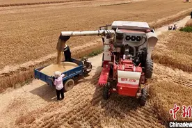 “中原粮仓”河南麦收近半 已收获超4046万亩图片