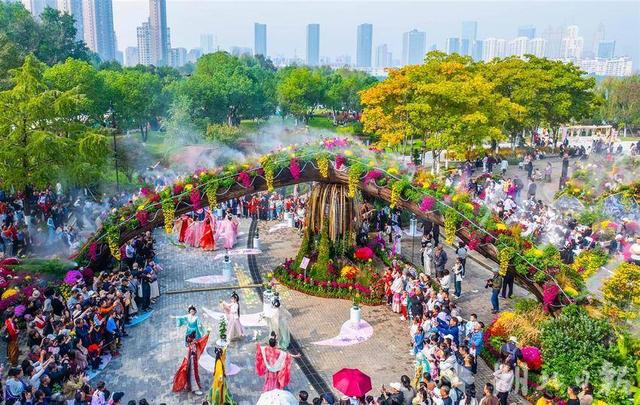 现场火爆！武汉今秋最大花展开幕