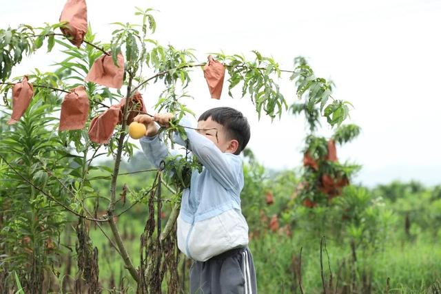 溧水赏秋指南，这周末就出发！