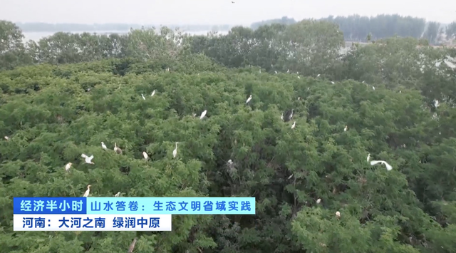 河南：大河之南 绿润中原