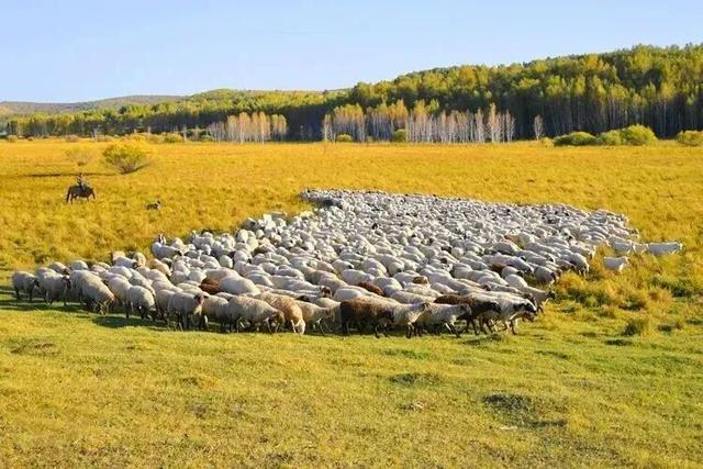 王炸！内蒙古“冰镇小龙虾”出道！