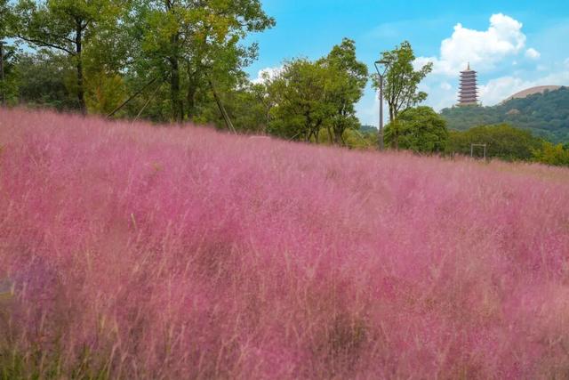 跟着这条线路，周末赏秋去！
