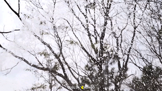 冬至丨解锁桂林的多彩冬天！