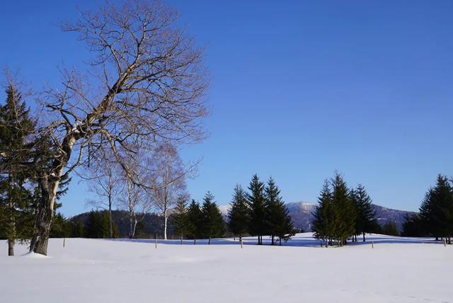 飞雪沐泉 乐享白山 | 玩透白山冰雪！“长白山之冬”五大主题路线推荐攻略请收好！