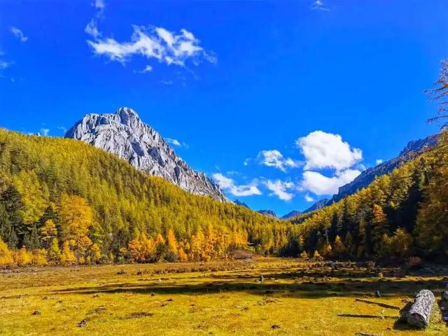 它都这么美了！差点忘记推给你了