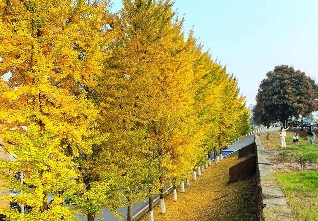 公安，等你入画