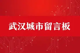 武汉立体交通网如何打造？快来继续说图片