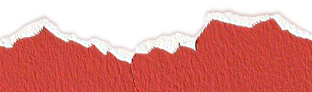 2026倒计时！秦淮元旦活动指南，就差你了！