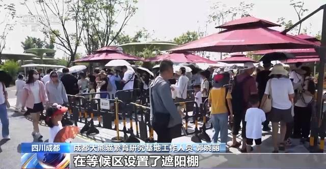“看熊猫专线” “赏荷巴士”……暑期解锁一站式旅游观光