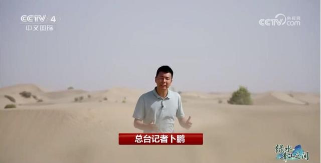 中国治沙开挂：光伏锁沙 苜蓿生金