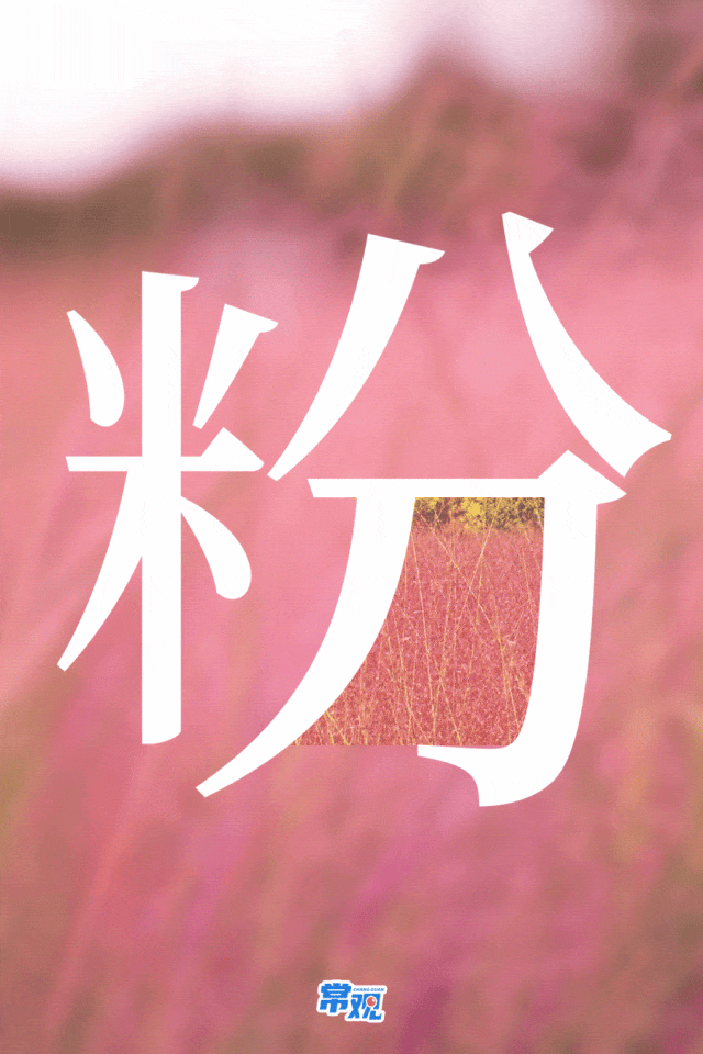 美翻了！大批常州人出动！