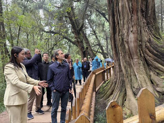 当蜀道与阿皮亚古道开启“隔空对话”  聚焦千年古道的文化遗产保护