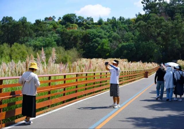 “每一棵树都绿意盎然” ！诺奖得主丹·谢赫特曼盛赞昆明生态建设与城市发展