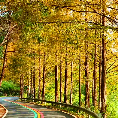 来赣州，赏景、观枫，写首秋日的诗......