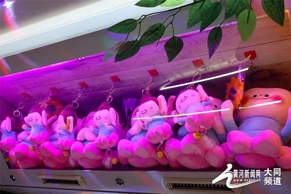 玫瑰音乐巴士启航：穿越古城的浪漫之旅