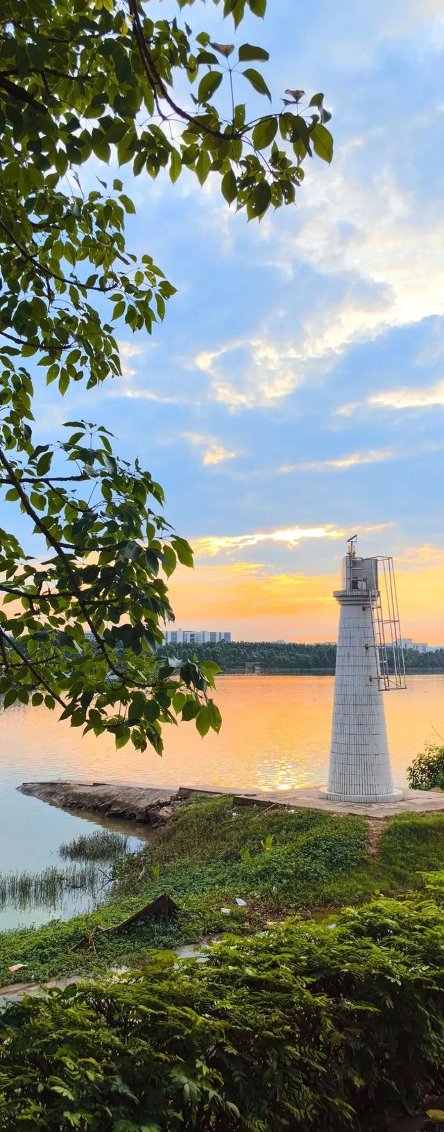 全网爆火！被里水这座浪漫岛屿惊艳到了！游玩攻略→