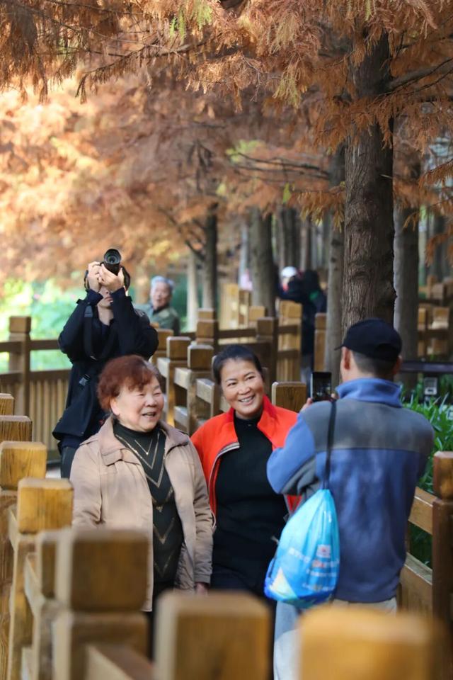 德阳冬日“顶流”！出片率100%！