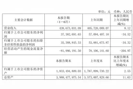 坤彩科技：2023年上半年净利润3738.27万元 同比下降34.52%图片