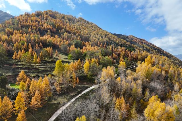 岷县：山川秀美秋色浓